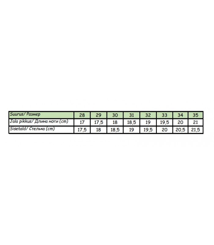 Laste saapad 121705 01 (5)