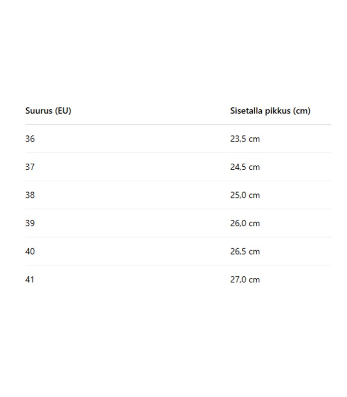 Naiste kingad 418055 01 (4)
