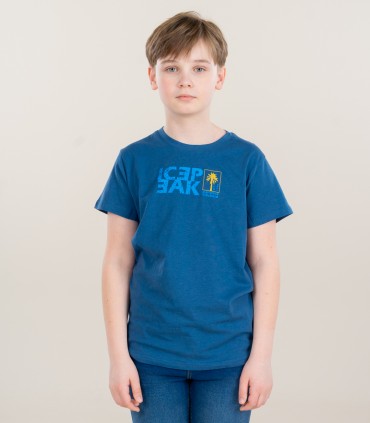 Icepeak футболка для мальчиков 51671-7*369 (6)