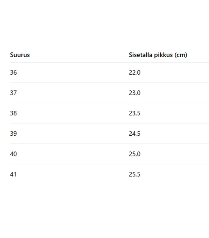 Naisten varvassandaalit 407208 01 (4)