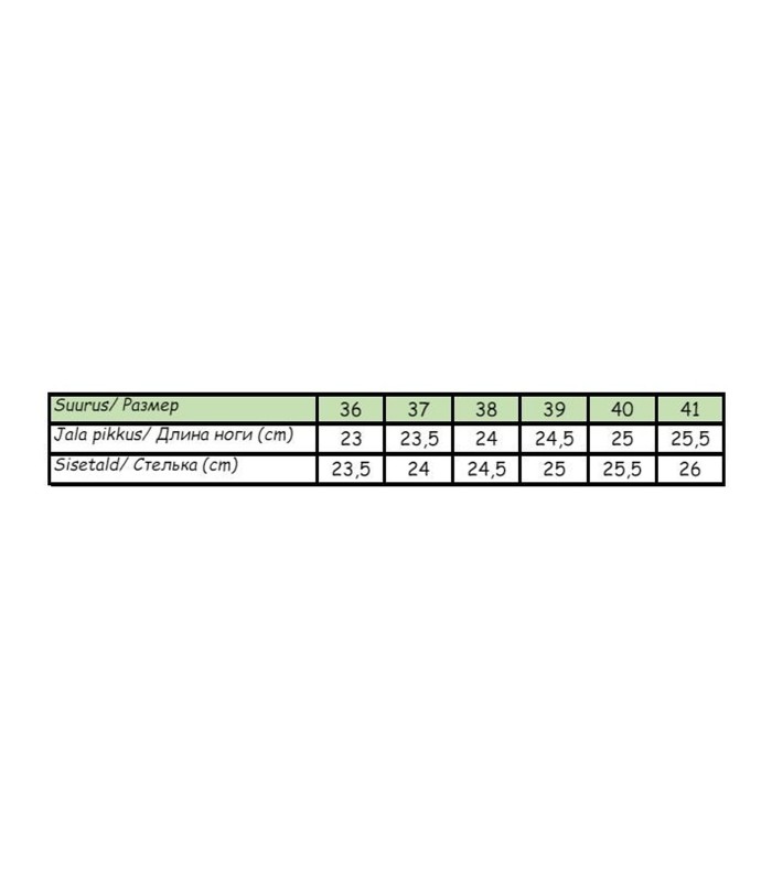Naiste sandaalid 441458 02 (4)