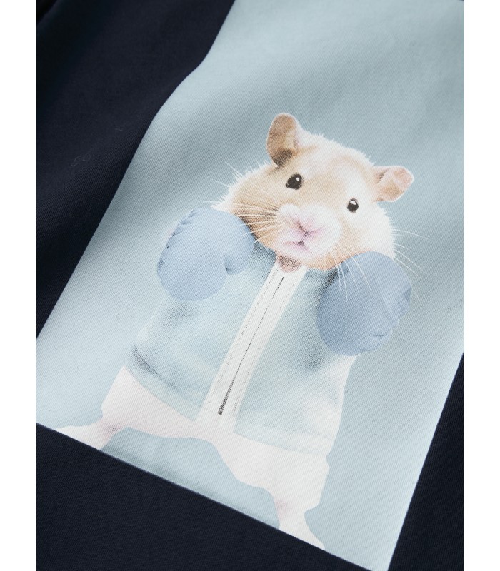 Name It laste T-särk 13241569*04 (1)