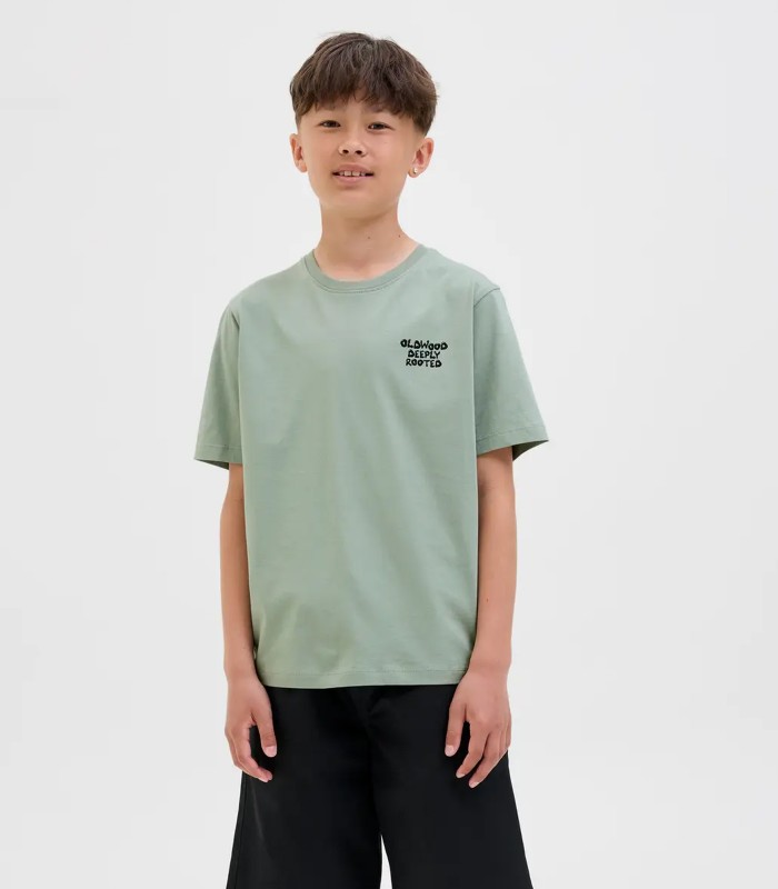 Jack & Jones Poiste T-särk 12279695*03 (4)