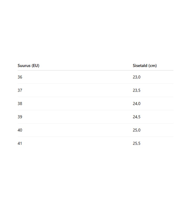 Moteriškos šlepetės 402246 01 (4)