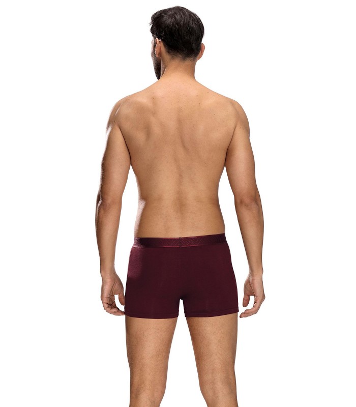 Friends vīriešu bokseršorti 1341-09*01 (3)