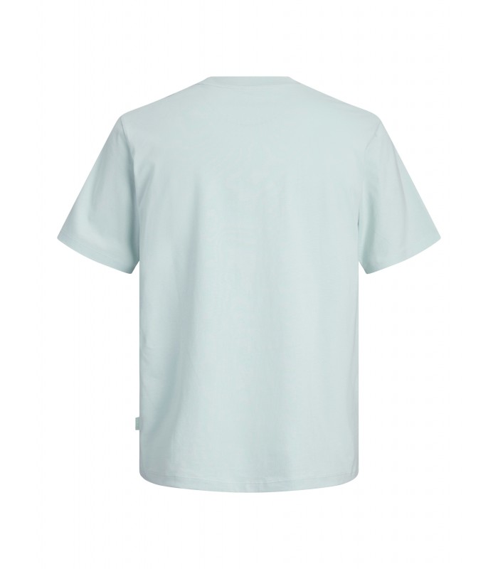 Jack & Jones poiste T-särk 12293162*02 (2)