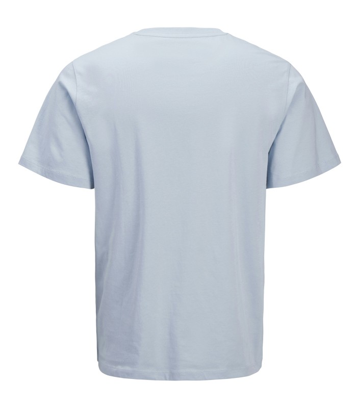 Jack & Jones poiste T-särk 12289944*01 (2)