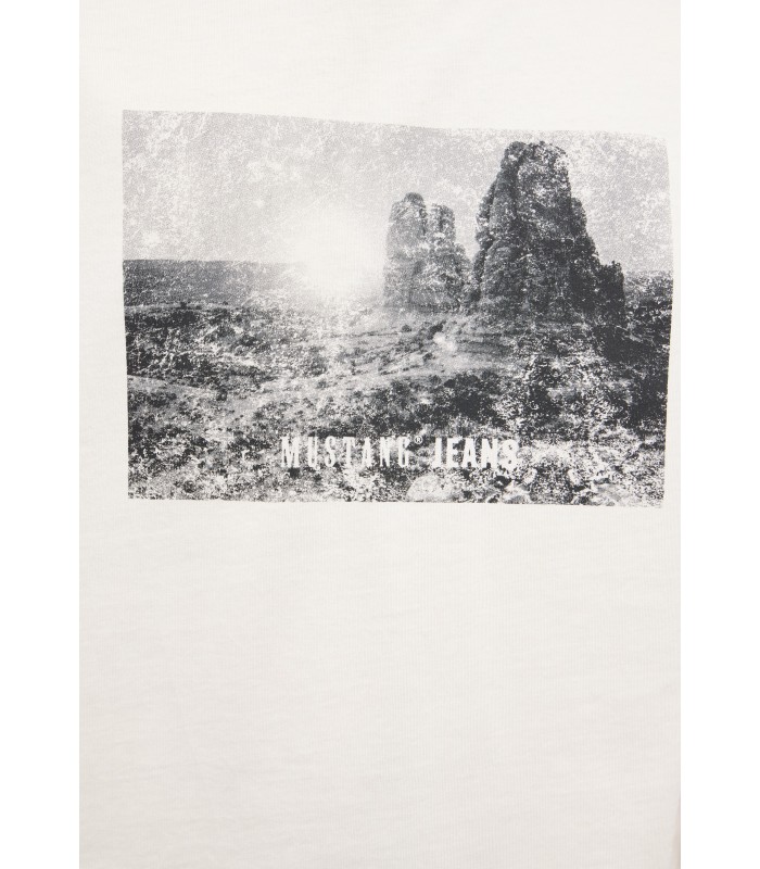 Mustang Meeste T-särk 1017396*2013 (2)