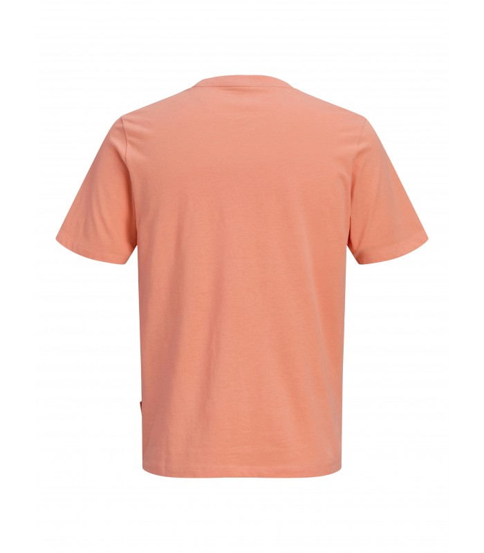 Jack & Jones poiste T-särk 12293162*05 (3)