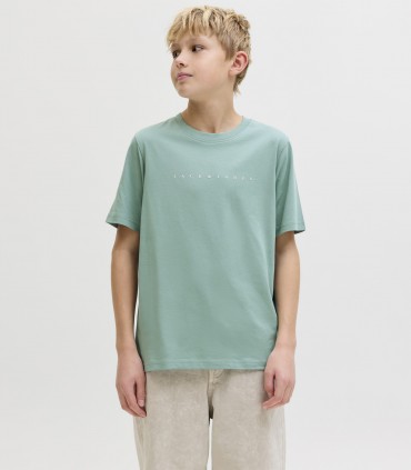 Jack & Jones детская футболка 12237435*05